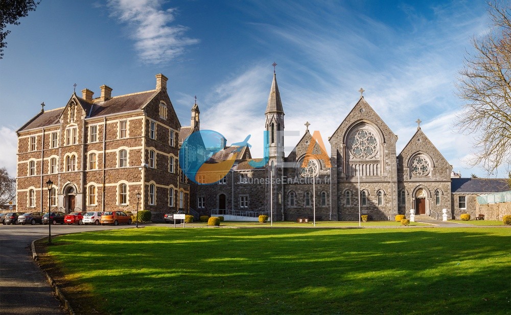 Erasmus en Irlande avec Elisa