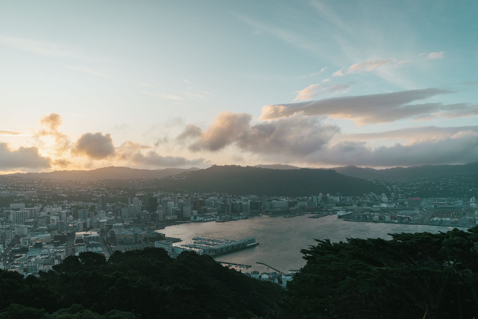 Vue sur la baie et les maisons de Wellington, en Nouvelle-Zélande, depuis une colline