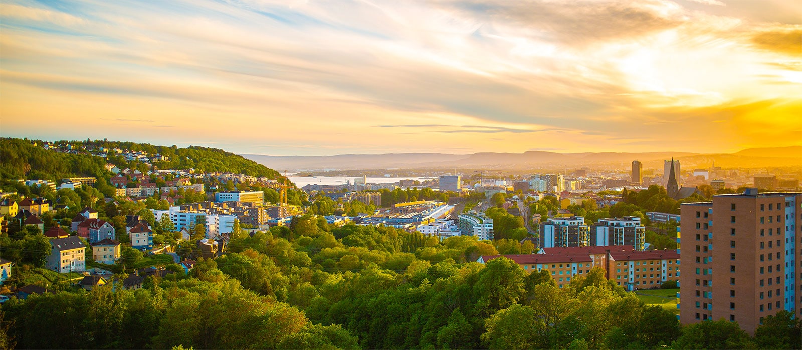 Vue d'Oslo et de son fjord depuis les hauteurs de la ville