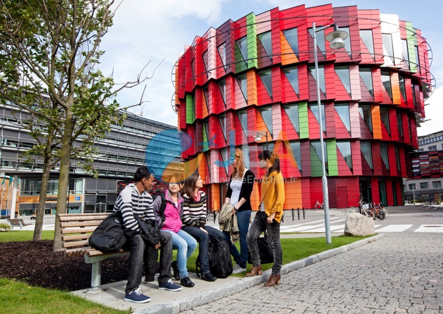 Université en Suède