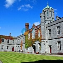 Université en Irlande