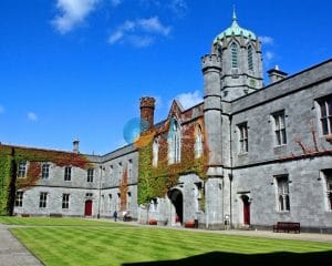 Université en Irlande