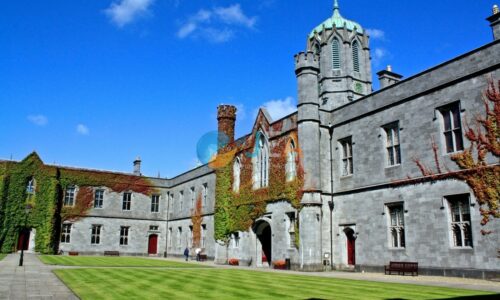 Université en Irlande