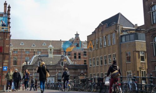 Université des Pays-Bas